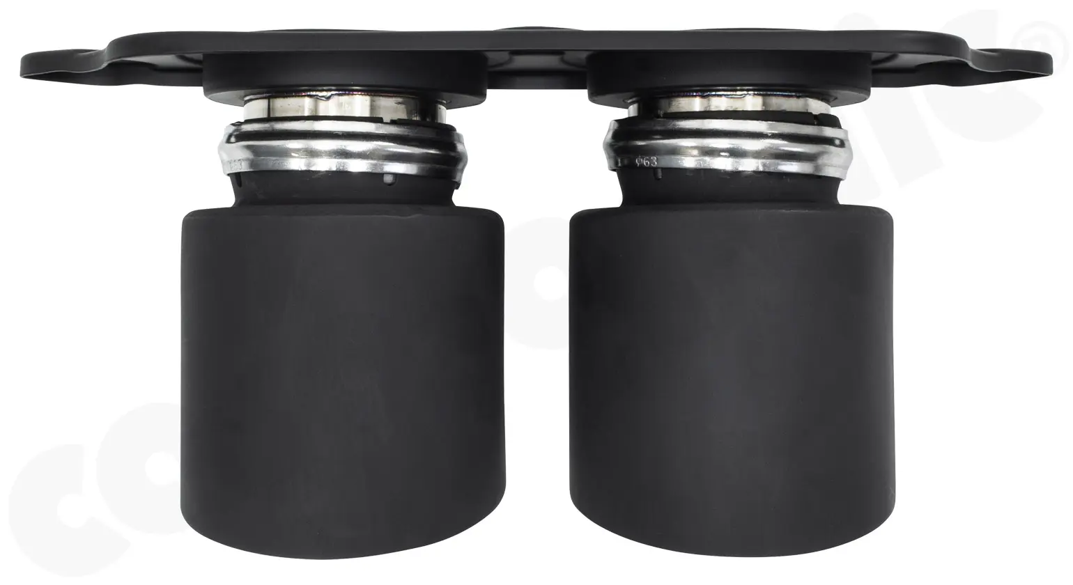 CARGRAPHIC Sport Endrohre für Porsche 991 GT3 RS Foto