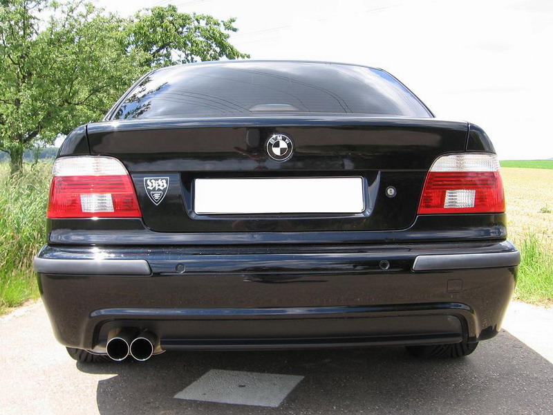 Eisenmann Endschalldämpfer für BMW E39 Limousine 520i 523i 525i 528i 530i 2x76mm Race-Version