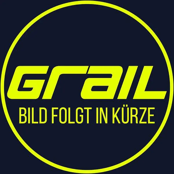 Grail Komplettanlage Audi RS5 B9 F5