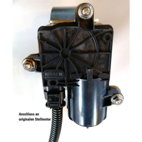 ASR Stilllegungsstecker AUDI 4pol Klappensteuerung Foto