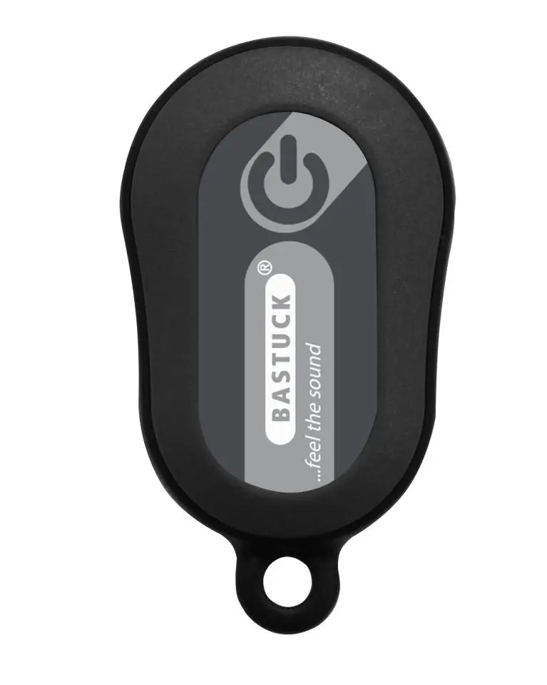 Bastuck Sportauspuff Hyundai i30 PDE Race-Look günstig