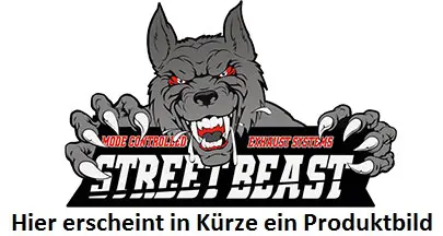 StreetBeast 76mm Single-Anlage mit Soundgenerator, VW T6 Bus