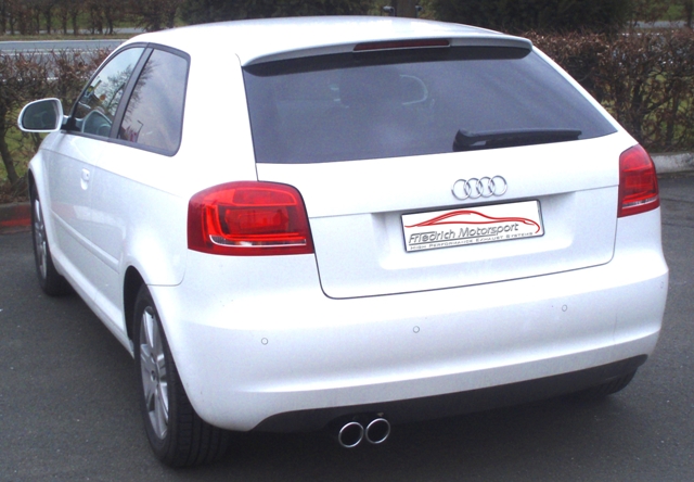 Friedrich Motorsport Gr.A Auspuff Audi A3 8P Bild