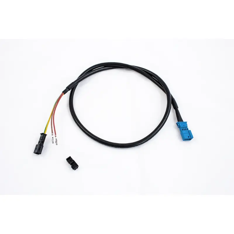 ASR Klappensteuerung RX2 Audi RS3 8Y Foto